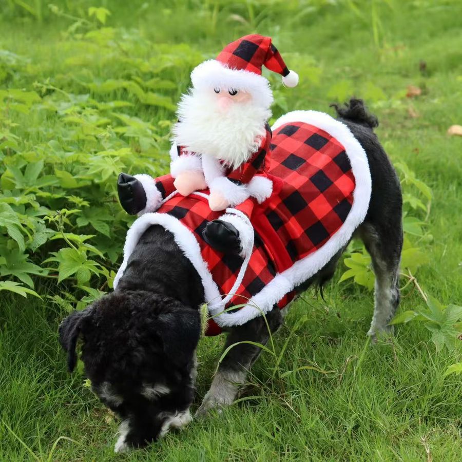 Santa Rider Costume
