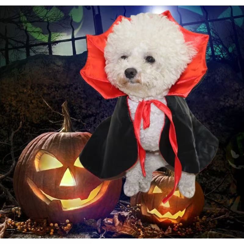 Vampire Cape (red stand collar)
