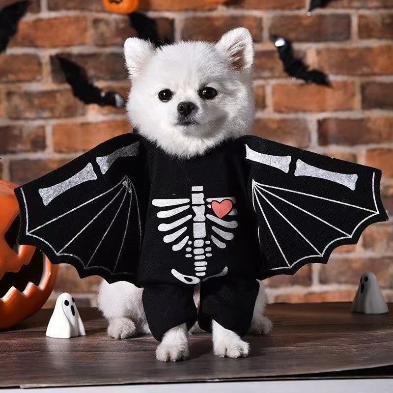 Bat-Wing Skeleton Costume