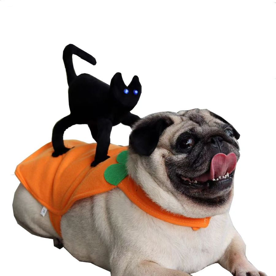 Black Cat Riding a Pug