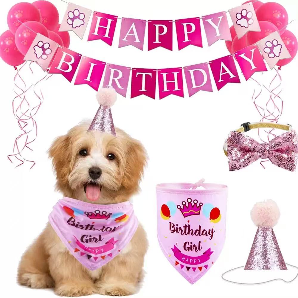 Birthday Party 4-Piece Set Girl
