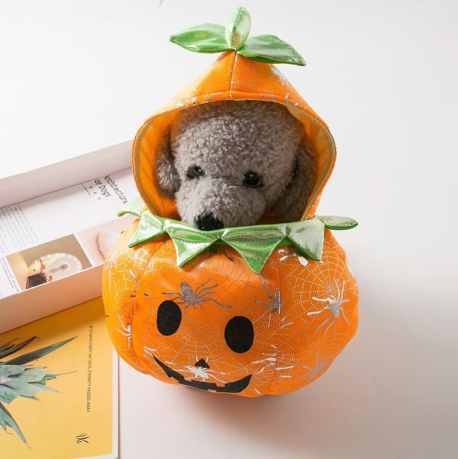 Teddy in Pumpkin Bucket